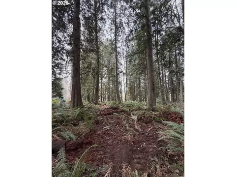 Meserve Rd, Rainier, OR 97048 photo 10