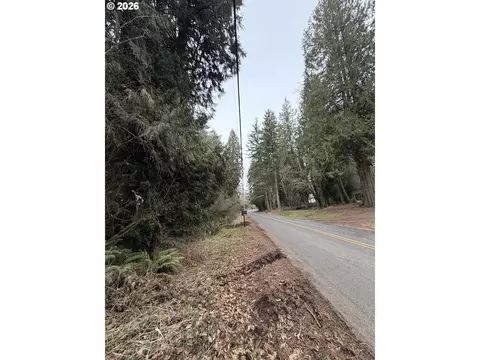 Meserve Rd, Rainier, OR 97048 photo 5
