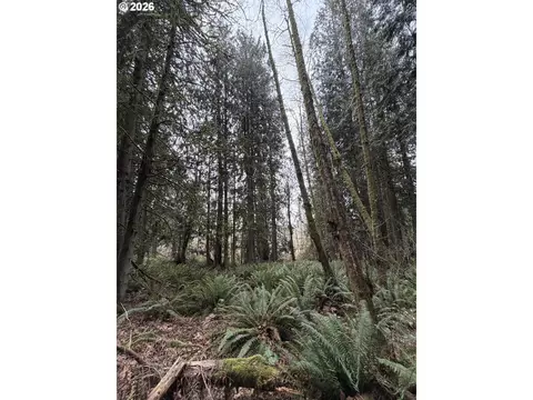 Meserve Rd, Rainier, OR 97048 photo 9