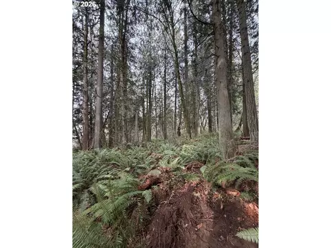 Meserve Rd, Rainier, OR 97048 photo 4