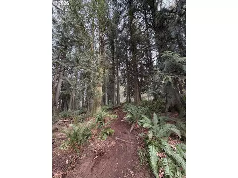 Meserve Rd, Rainier, OR 97048 photo 11
