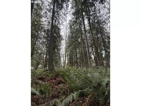 Meserve Rd, Rainier, OR 97048 photo 12