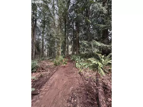Meserve Rd, Rainier, OR 97048 photo 3