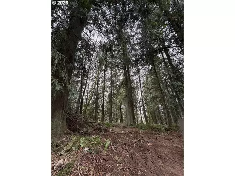 Meserve Rd, Rainier, OR 97048 photo 13