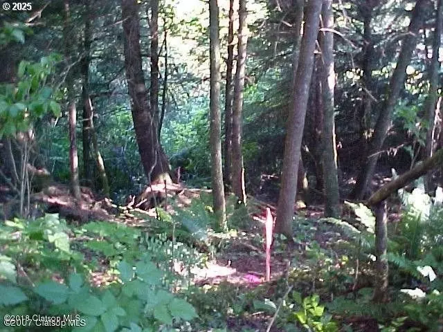  Birch St, Cannon Beach, OR 97110 photo 20