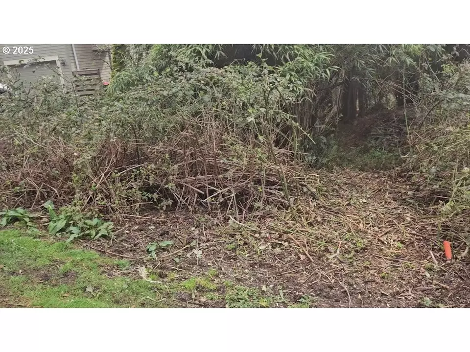  Birch St, Cannon Beach, OR 97110 photo 4