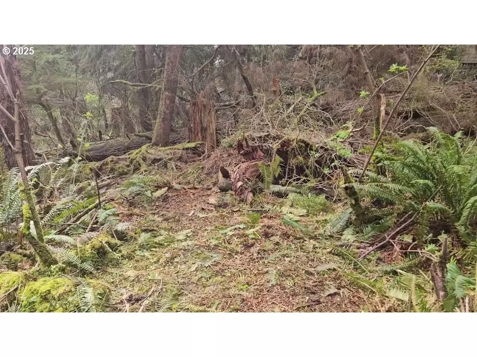  Birch St, Cannon Beach, OR 97110 photo 6