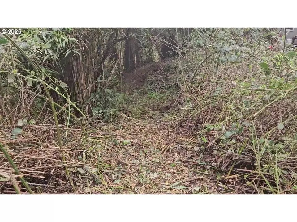  Birch St, Cannon Beach, OR 97110 photo 7