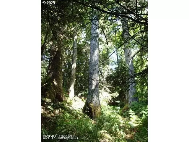  Birch St, Cannon Beach, OR 97110 photo 1