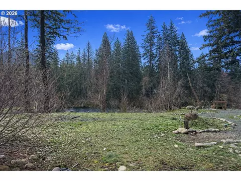 54480 Mckenzie River Dr, Blue River, OR 97413