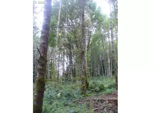 0 Old Rainier Rd, Rainier, OR 97048 photo 16