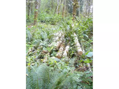 0 Old Rainier Rd, Rainier, OR 97048 photo 7