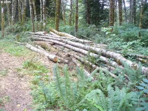0 Old Rainier Rd, Rainier, OR 97048 photo 5