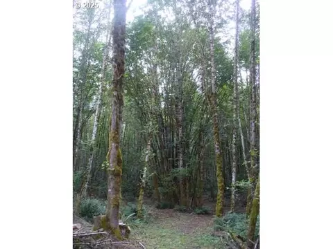 0 Old Rainier Rd, Rainier, OR 97048 photo 13