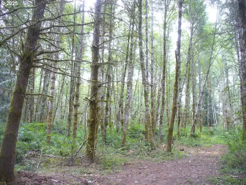 0 Old Rainier Rd, Rainier, OR 97048 photo 4
