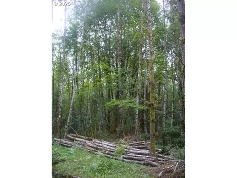 0 Old Rainier Rd, Rainier, OR 97048 photo 12
