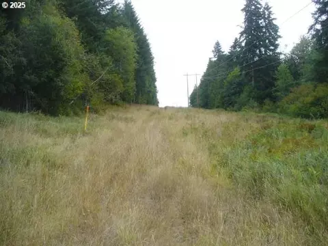 0 Old Rainier Rd, Rainier, OR 97048 photo 15