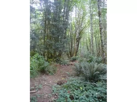 0 Old Rainier Rd, Rainier, OR 97048 photo 14