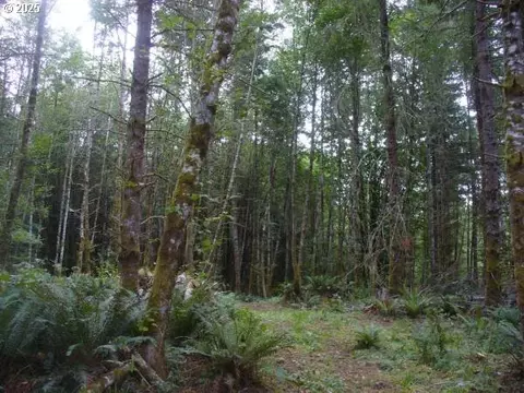 0 Old Rainier Rd, Rainier, OR 97048 photo 9