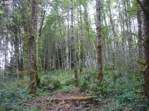 0 Old Rainier Rd, Rainier, OR 97048 photo 17