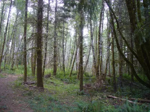 0 Old Rainier Rd, Rainier, OR 97048 photo 3