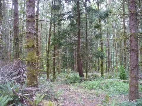 0 Old Rainier Rd, Rainier, OR 97048 photo 11