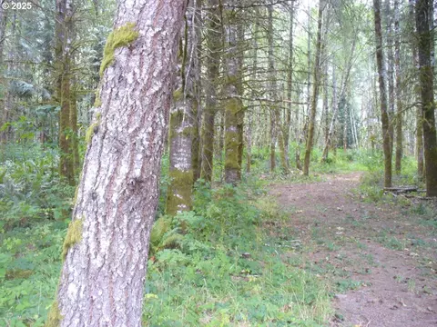 0 Old Rainier Rd, Rainier, OR 97048 photo 2