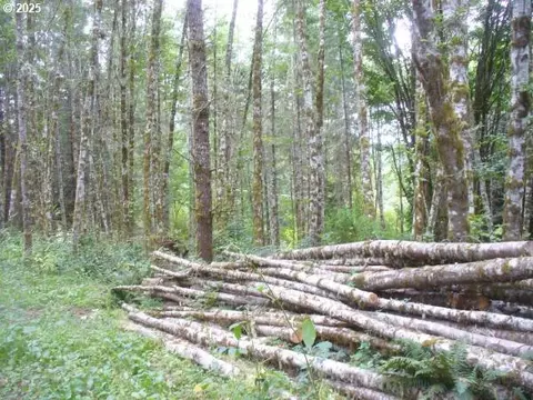 0 Old Rainier Rd, Rainier, OR 97048 photo 20