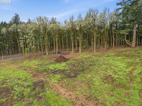 0 NW Berry Creek Rd #LOT 1, Mcminnville, OR 97128