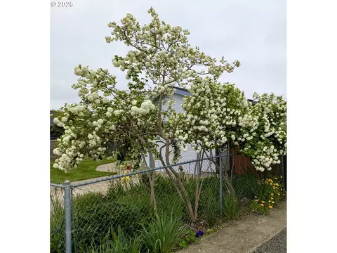 962 Rainbow Dr, Springfield, OR 97477 photo 45