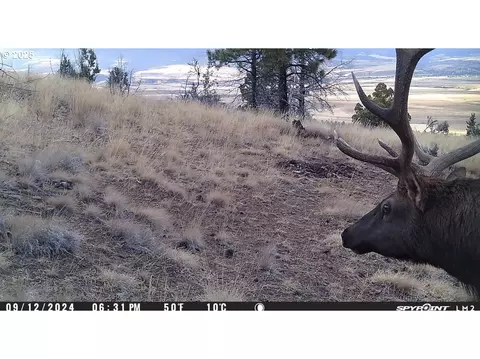 Fs Rd 613, John Day, OR 97845