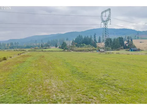 Upper Camp Creek, Springfield, OR 97478 photo 4