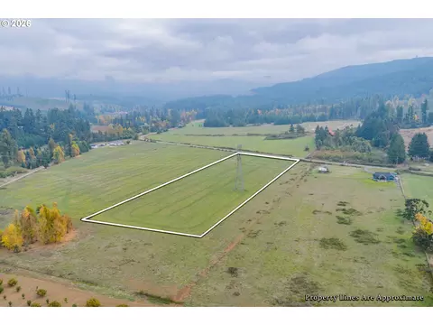 Upper Camp Creek, Springfield, OR 97478 photo 3