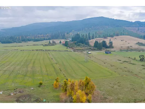 Upper Camp Creek, Springfield, OR 97478 photo 5