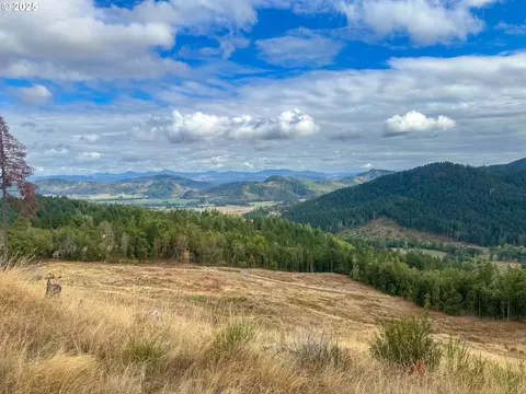 584 Buzz Mountain Ln, Roseburg, OR 97471