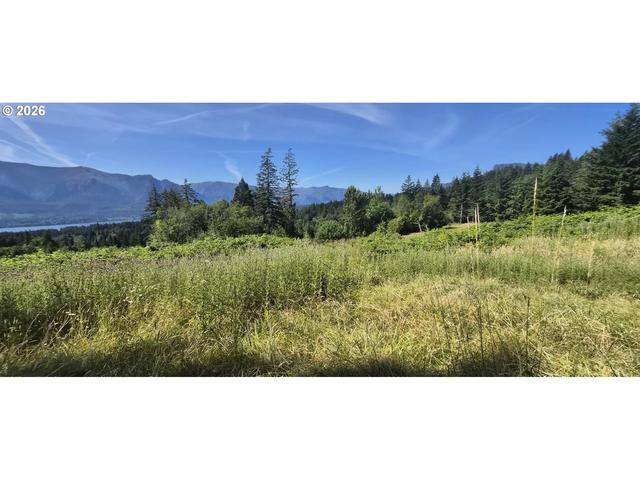 1811 E Loop Rd, Stevenson, WA 98648