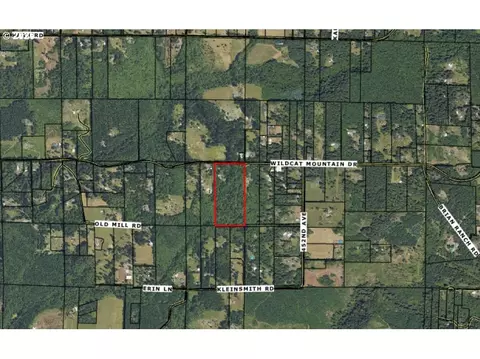View/Area - 44502 SE Wildcat Mountain Dr, Sandy, OR 97055 photo 8 of 9