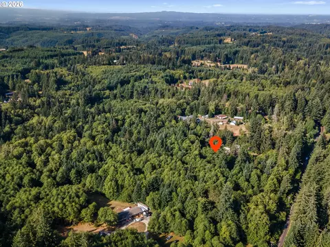 View/Area - 44502 SE Wildcat Mountain Dr, Sandy, OR 97055 photo 7 of 9