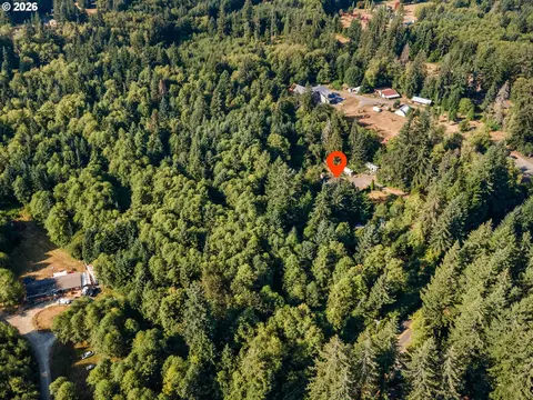 View/Area - 44502 SE Wildcat Mountain Dr, Sandy, OR 97055 photo 2 of 9