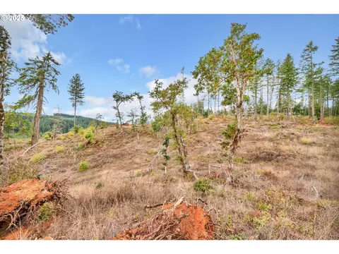 0 Sutherlin Ln #01100, Eugene, OR 97405 photo 24