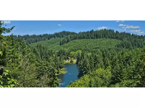 89349 Rustic Ln, Florence, OR 97439 photo 10