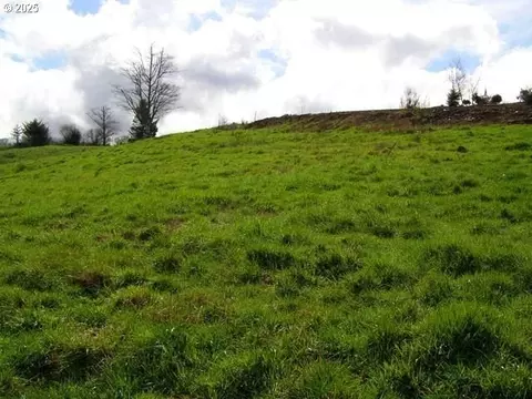 Skyview, Tillamook, OR 97141 photo 2