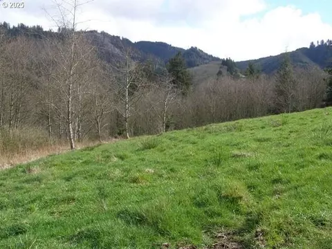 Skyview, Tillamook, OR 97141 photo 10