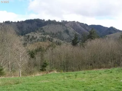 Skyview, Tillamook, OR 97141 photo 4