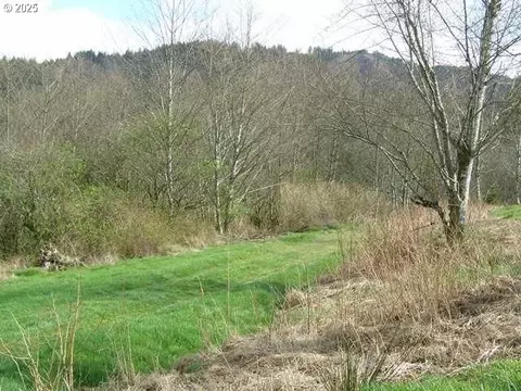 Skyview, Tillamook, OR 97141 photo 8