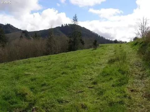 Skyview, Tillamook, OR 97141 photo 9