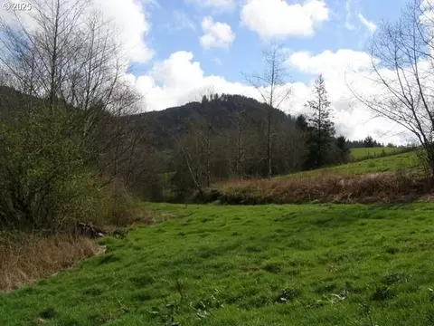 Skyview, Tillamook, OR 97141 photo 5