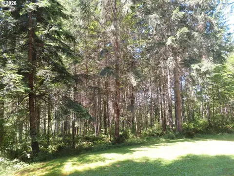 419 Meskill Rd, Chehalis, WA 98532 photo 32
