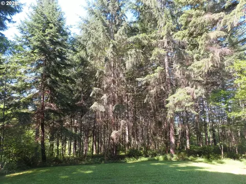 419 Meskill Rd, Chehalis, WA 98532 photo 29
