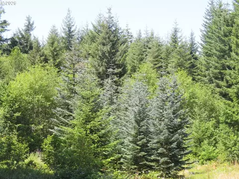 419 Meskill Rd, Chehalis, WA 98532 photo 28